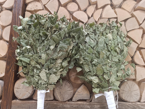 Веник БЕРЕЗА